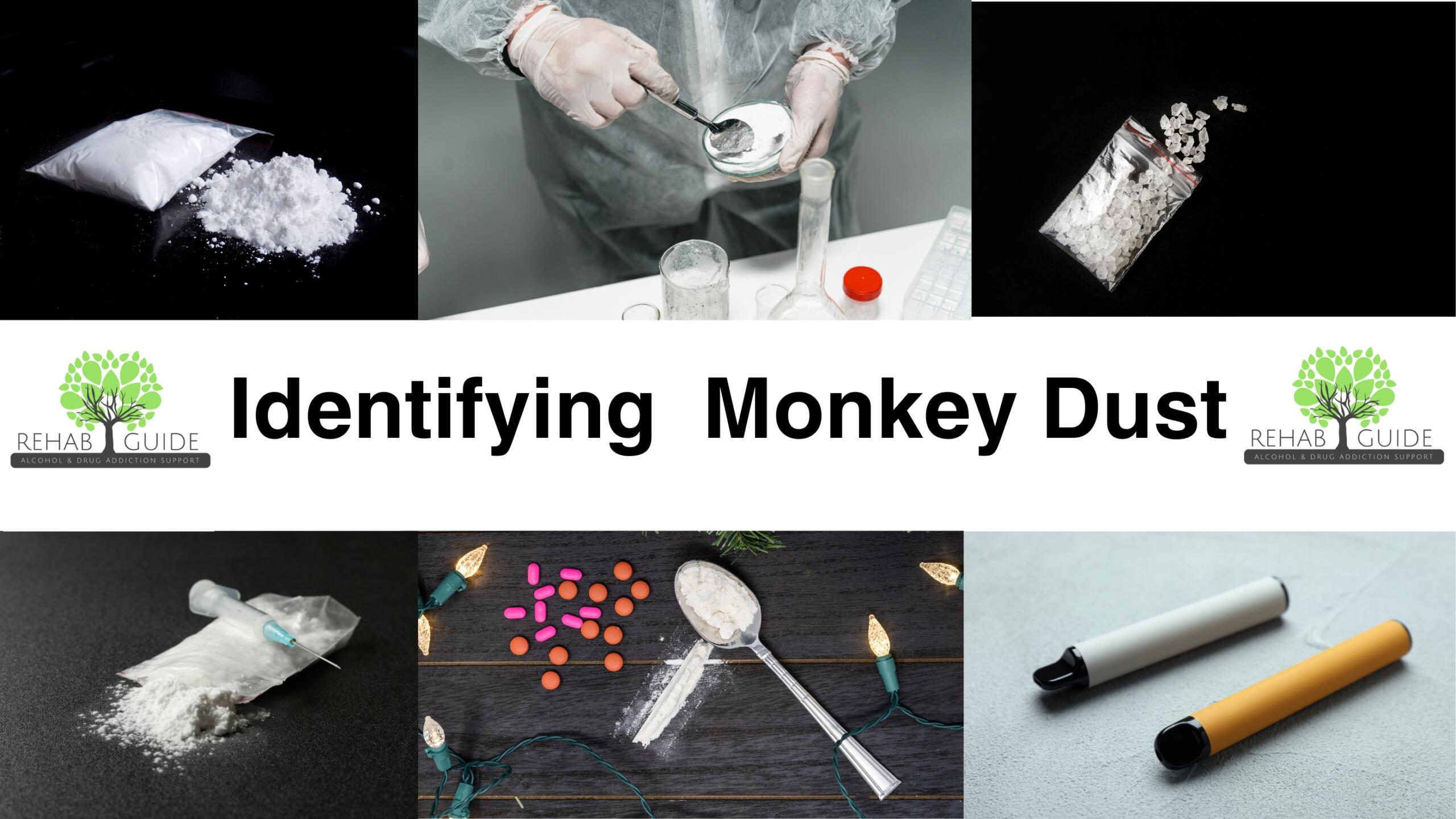 What is Monkey Dust? - Rehab Guide