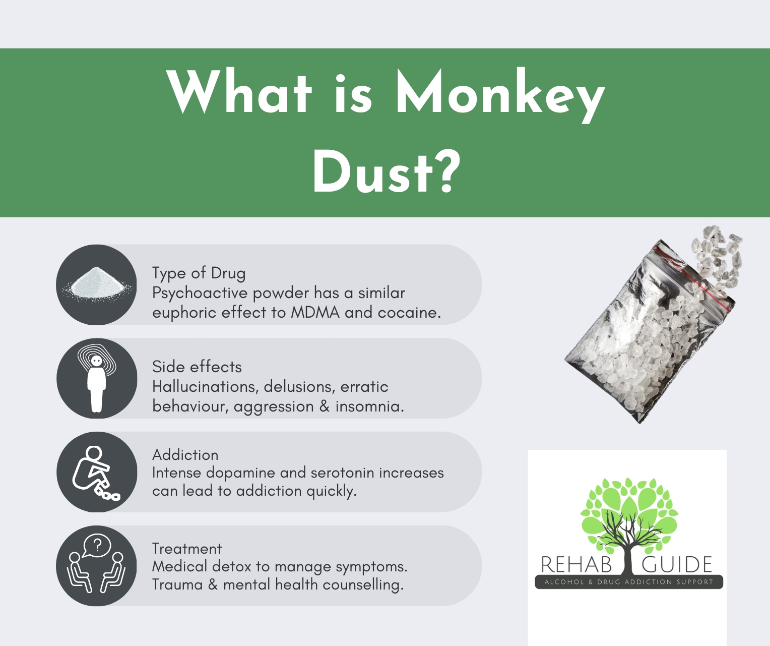 What is Monkey Dust? - Rehab Guide