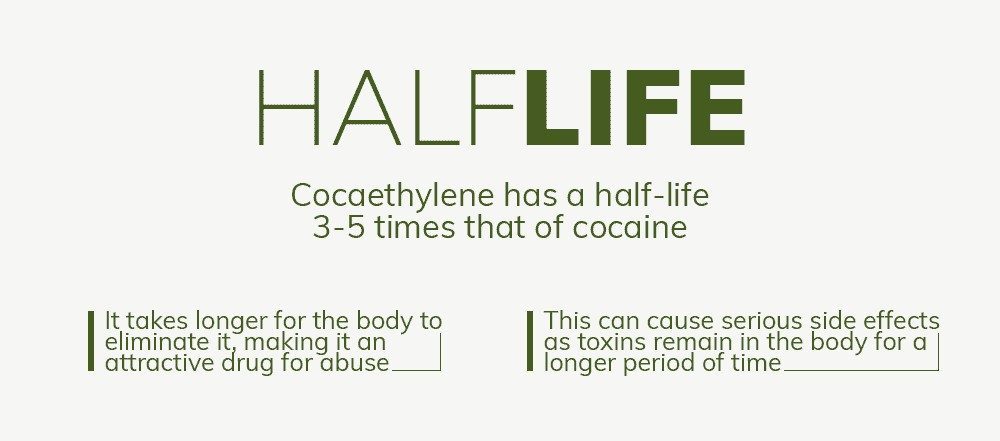 Understanding Cocaine and Alcohol Risks in Recovery Half-life of cocaethylene in cocaine and alcohol use explained