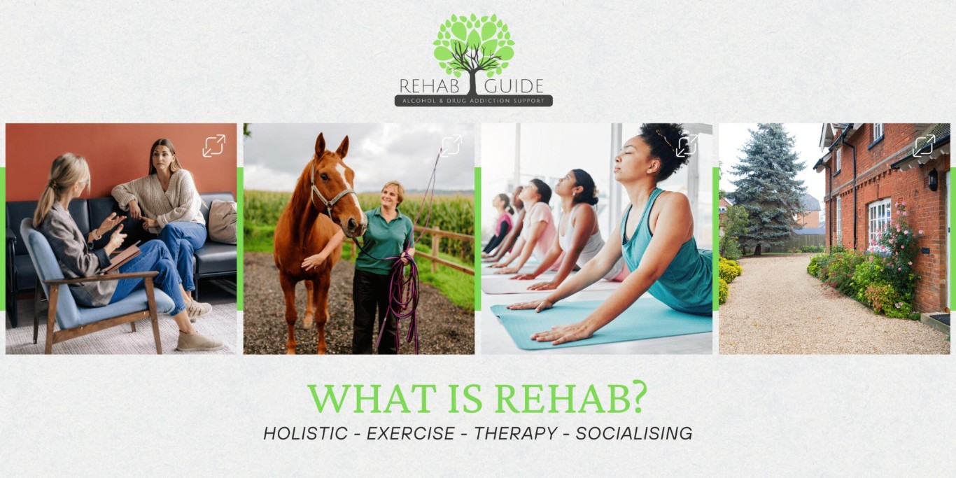 Paul Danan's Holistic Approach to Alcohol Recovery Paul Danan holistic rehab: talking therapy, horse care, yoga